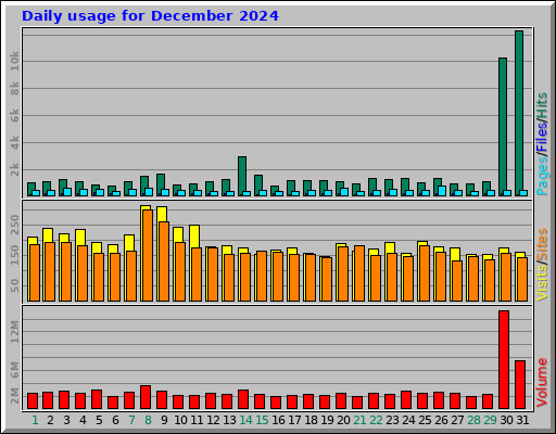 Daily usage for December 2024