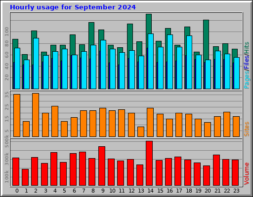 Hourly usage for September 2024