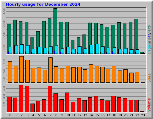 Hourly usage for December 2024