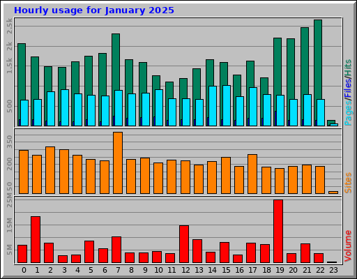 Hourly usage for January 2025