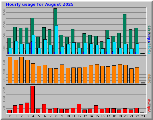 Hourly usage for August 2025