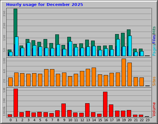 Hourly usage for December 2025 Hourly usage for December 2025