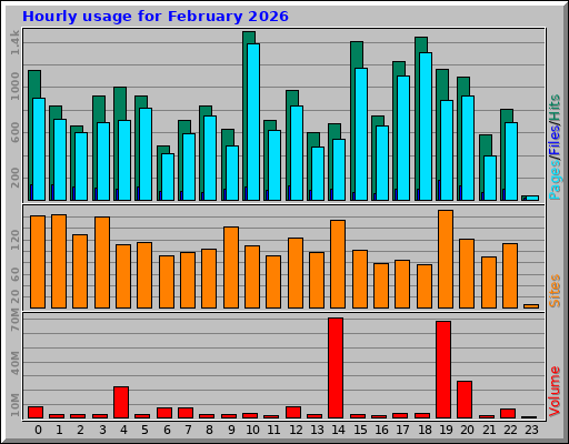 Hourly usage for February 2026