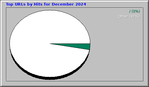 Top URLs by Hits for December 2024