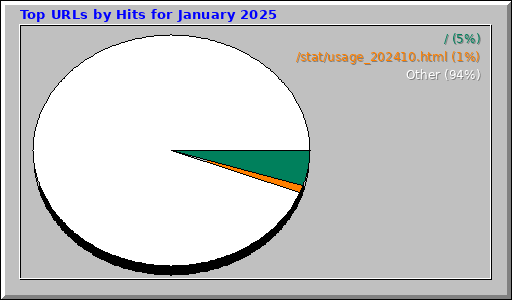 Top URLs by Hits for January 2025